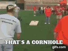 Cornhole1